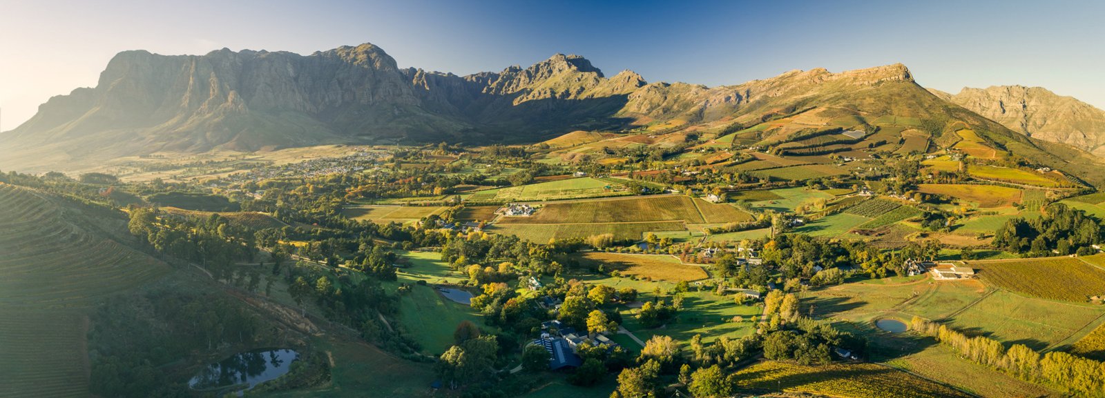 Zorgvliet Wine Estate hero image