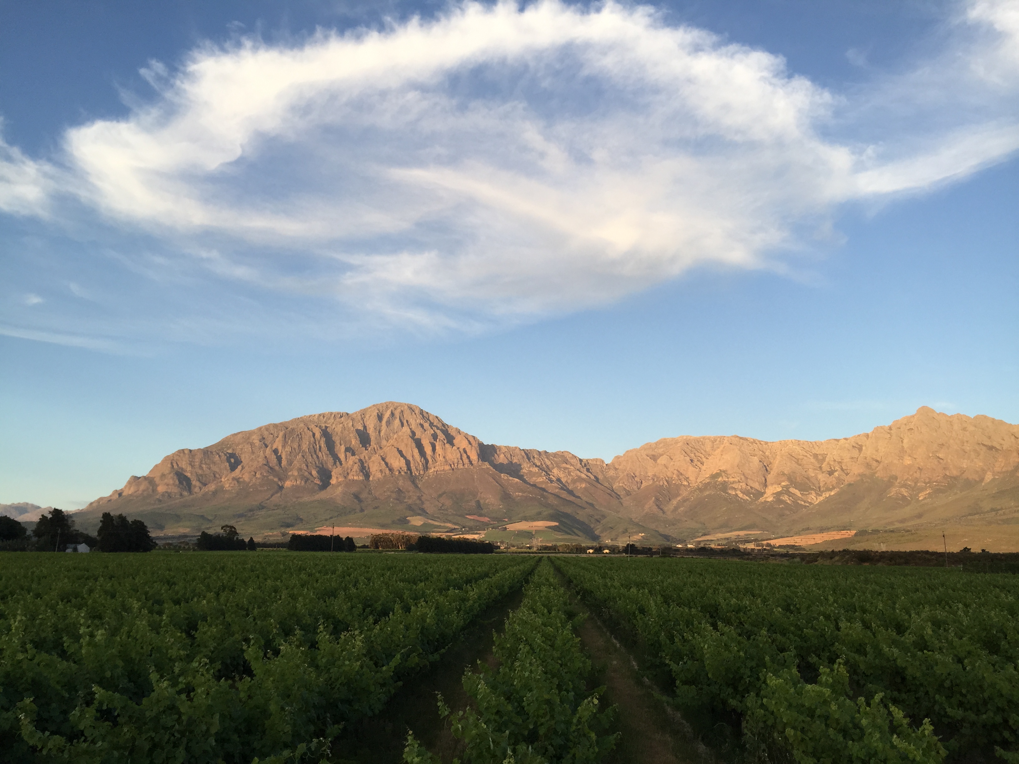Breedekloof