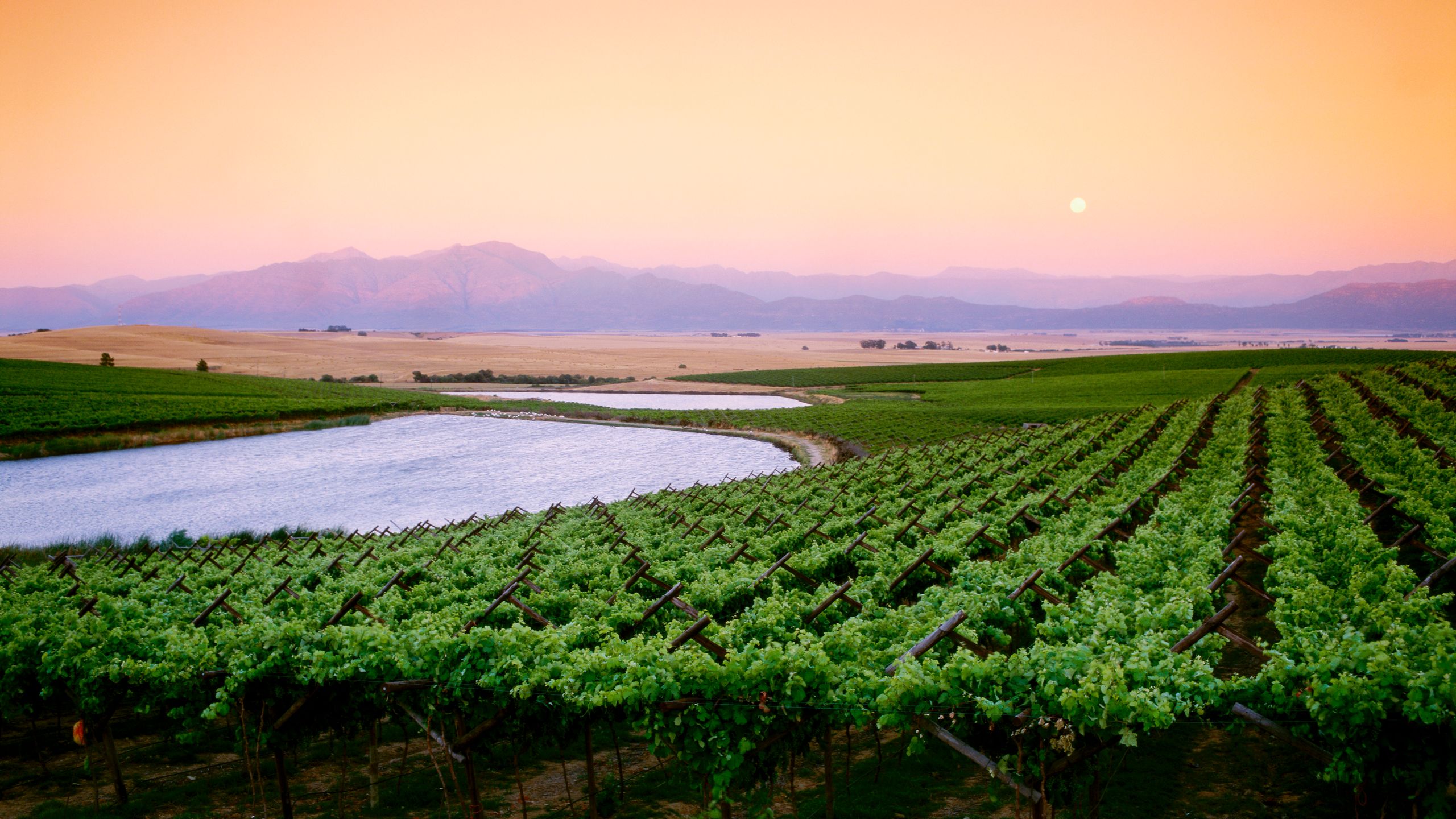Swartland